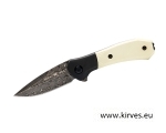 Taskunuga Buck PARADIGM IVORY G10 DAMASCUS 590IVSLE Limited Edition